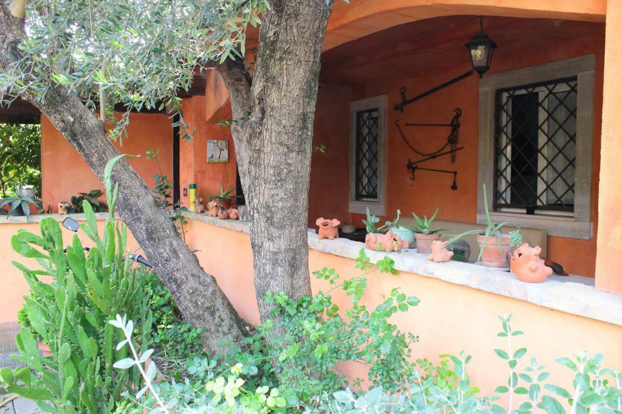 B&B Country Lemon Santa Marta Kültér fotó